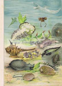 Фотография 0002.jpg