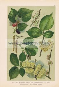 Фотография 0060.jpg