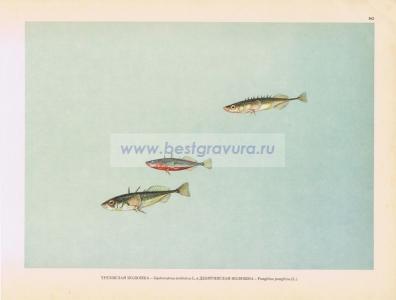 Фотография 0162.jpg