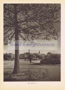 Фотография 0096.jpg