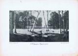 Фотография 0140.jpg