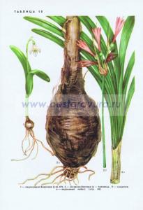 Фотография 0210.jpg