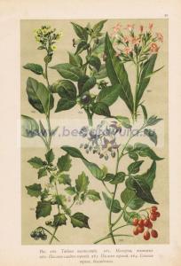 Фотография 0049.jpg