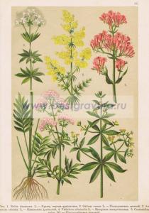 Фотография 0033.jpg