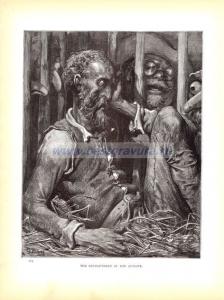 Очарование Дон Кихота.