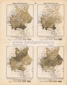 Фотография 0002.jpg