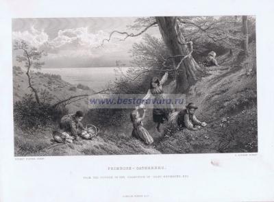 Фотография 0058.jpg