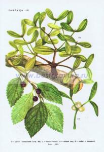 Фотография 0218.jpg