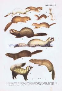 Фотография 0211.jpg