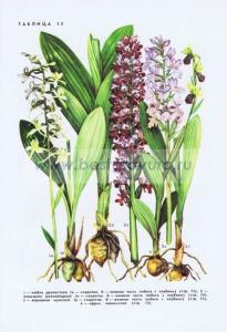 Фотография 0213.jpg