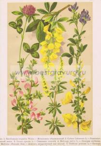 Фотография 0016.jpg