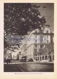 Фотография 0229.jpg