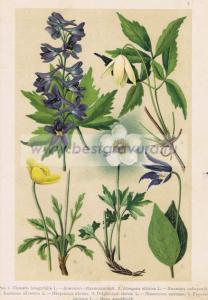 Фотография 0004.jpg