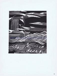 Фотография 0026.jpg