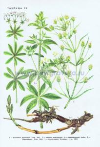 Фотография 0272.jpg