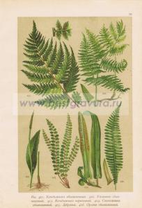 Фотография 0076.jpg