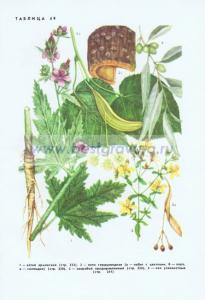 Фотография 0249.jpg