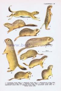 Фотография 0227.jpg