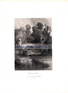 Фотография 0018.jpg