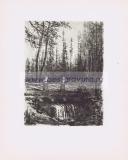 Фотография 0015.jpg