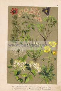 Фотография 0001.jpg