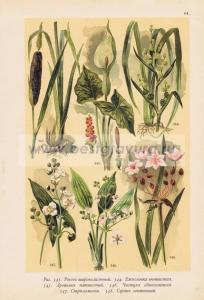 Фотография 0064.jpg