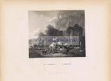 Фотография 0039.jpg