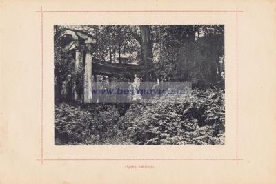 Фотография 0016.jpg