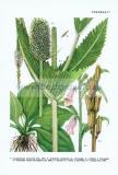 Фотография 0071.jpg
