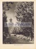 Фотография 0265.jpg