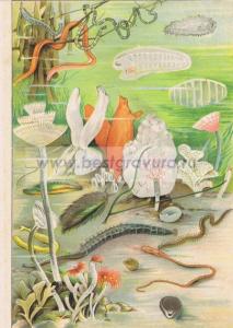 Фотография 0005.jpg