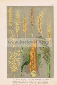 Фотография 0071.jpg