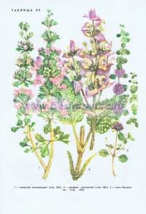 Фотография 0269.jpg