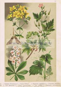 Фотография 0013.jpg