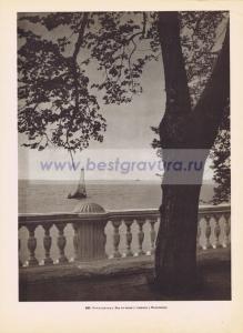 Фотография 0297.jpg
