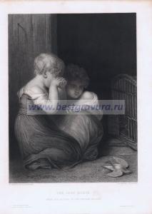 Фотография 0017.jpg
