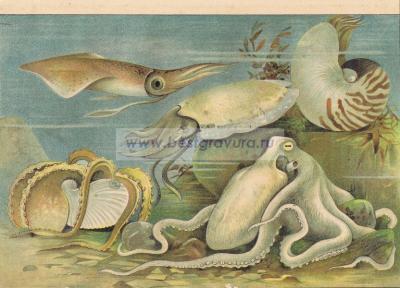 Фотография 0008.jpg