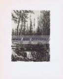 Фотография 0015.jpg