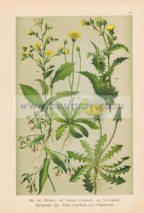 Фотография 0038.jpg