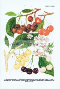 Фотография 0033.jpg