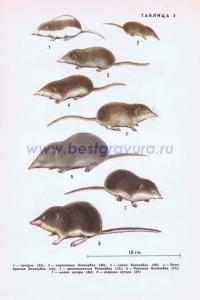 Фотография 0203.jpg