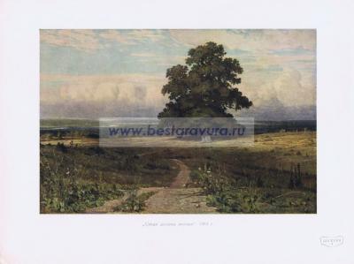 Фотография 0204.jpg