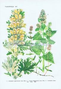 Фотография 0268.jpg