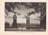 Фотография 0257.jpg