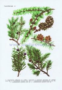 Фотография 0202.jpg