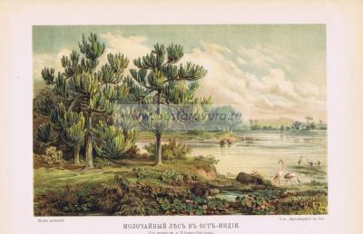 Фотография 0029.jpg