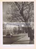 Фотография 0205.jpg