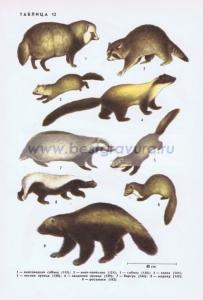 Фотография 0212.jpg