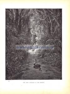 Первое приближения змия.