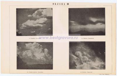 Фотография 0271.jpg